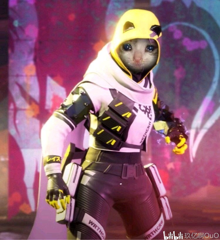 Despa1r 加入 Weibo Gaming 教练组